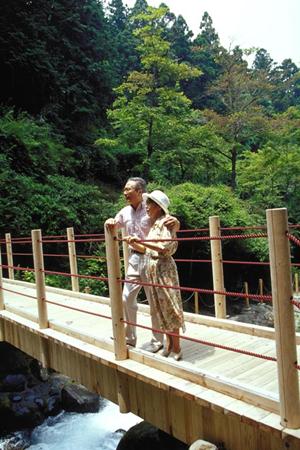 京都観光とビジネスに最適！東横INN京都四条烏丸の魅力と詳細情報