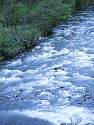 富山駅徒歩2分のビジネスホテル「東横INN富山駅新幹線口2」の魅力と詳細情報