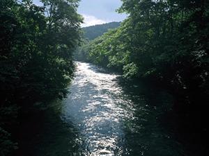 【公式ガイド】東横INN蒲田1の魅力と施設情報徹底解説 – 東京都大田区のビジネス・観光拠点に最適な宿泊施設