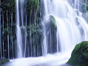 愛知県常滑市のアクセス便利なビジネスホテル！東横INN中部国際空港1の魅力と詳細情報