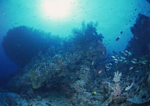 北海道苫小牧市のビジネスホテル｜東横INN苫小牧駅前の魅力と快適な宿泊体験