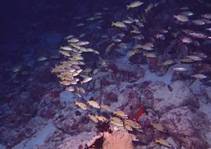 【公式情報を基に】愛知県名古屋市のビジネスホテル「東横INN名古屋錦」の魅力と詳細解説