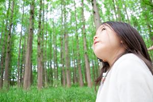 仙台駅から徒歩4分！快適さと利便性を兼ね備えた東横INN仙台西口広瀬通の魅力徹底紹介