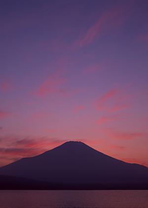 川崎駅から徒歩4分！快適な滞在を実現する東横INN川崎駅前砂子の詳細ガイド