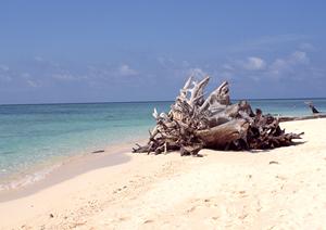 京都のビジネスホテル「東横INN京都五条大宮」の魅力と詳細情報