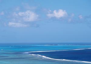 システムメンテナンスのお知らせ：サービス停止とお客様への影響について