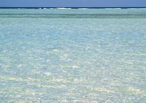 【公式】東横INN海老名駅東口｜神奈川県海老名市の便利なビジネスホテルホテル紹介