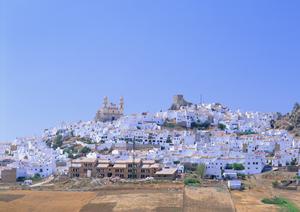 【公式】東横INN鳥取駅北口｜鳥取市中心部に位置するビジネスホテルの魅力と詳細情報