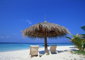 【公式】東横イン埼玉三郷駅前ホテルレビュー：アクセス良好なビジネス＆観光拠点の魅力