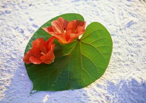 京都の宿泊拠点に最適な住友不動産ヴィラージュ京都｜伝統と快適さを兼ね備えたデザイナーズ和室と大浴場の魅力