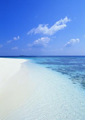 神奈川県横浜市・二俣川駅から徒歩3分の快適ビジネスホテル｜東横INN二俣川駅北口の魅力と詳細情報