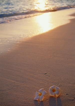 泉天空の湯 有明ガーデン｜東京有明の温泉とスパ施設の魅力と特徴