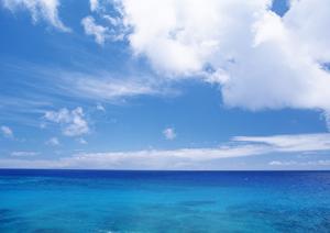 ANAの株主優待を最大限に活用する方法と特典の全貌【家族旅行編】