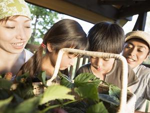 神戸三宮の快適ステイを実現！東横INN神戸三宮駅東の魅力と最新情報