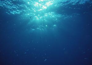 韓国・ソウルのビジネスに最適なホテル｜東横INNソウル江南の魅力と施設情報