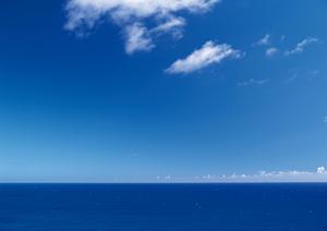 東横INN新横浜駅前本館：アクセス便利なビジネスホテルの魅力と詳細情報