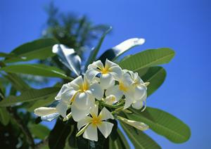 和歌山駅から徒歩4分の快適な滞在を提供する東横INNJR和歌山駅東口の詳細ガイド