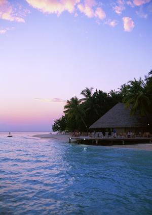 滋賀県米原市に位置する東横INN米原駅新幹線西口の魅力と詳細情報